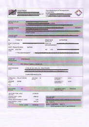 CTN/BSC电子货物跟踪单